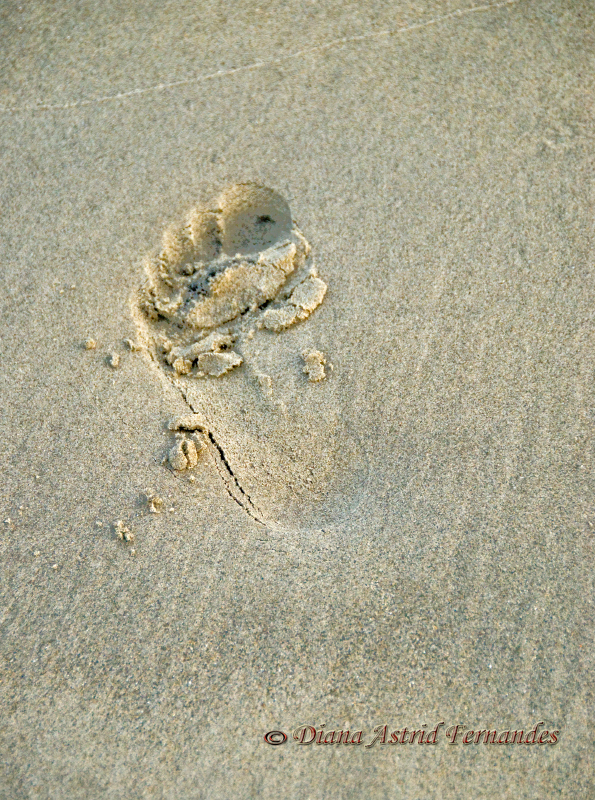 Footprint-in-the-sand-Coronado-Island-San-Diego